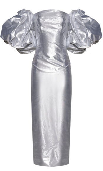 Anouki Corset Style Silver Silk Dress With Falling Sleeves