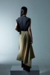 DWS-2500(BG)(2)